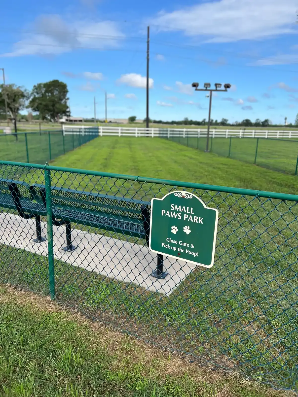 Fenced grass lawn and park benches